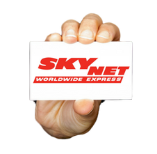 Servicios Skynet para Mayoristas